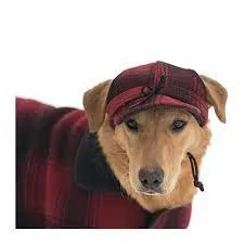 Critter Kromer