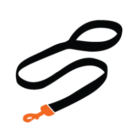 Dog Slip Lead