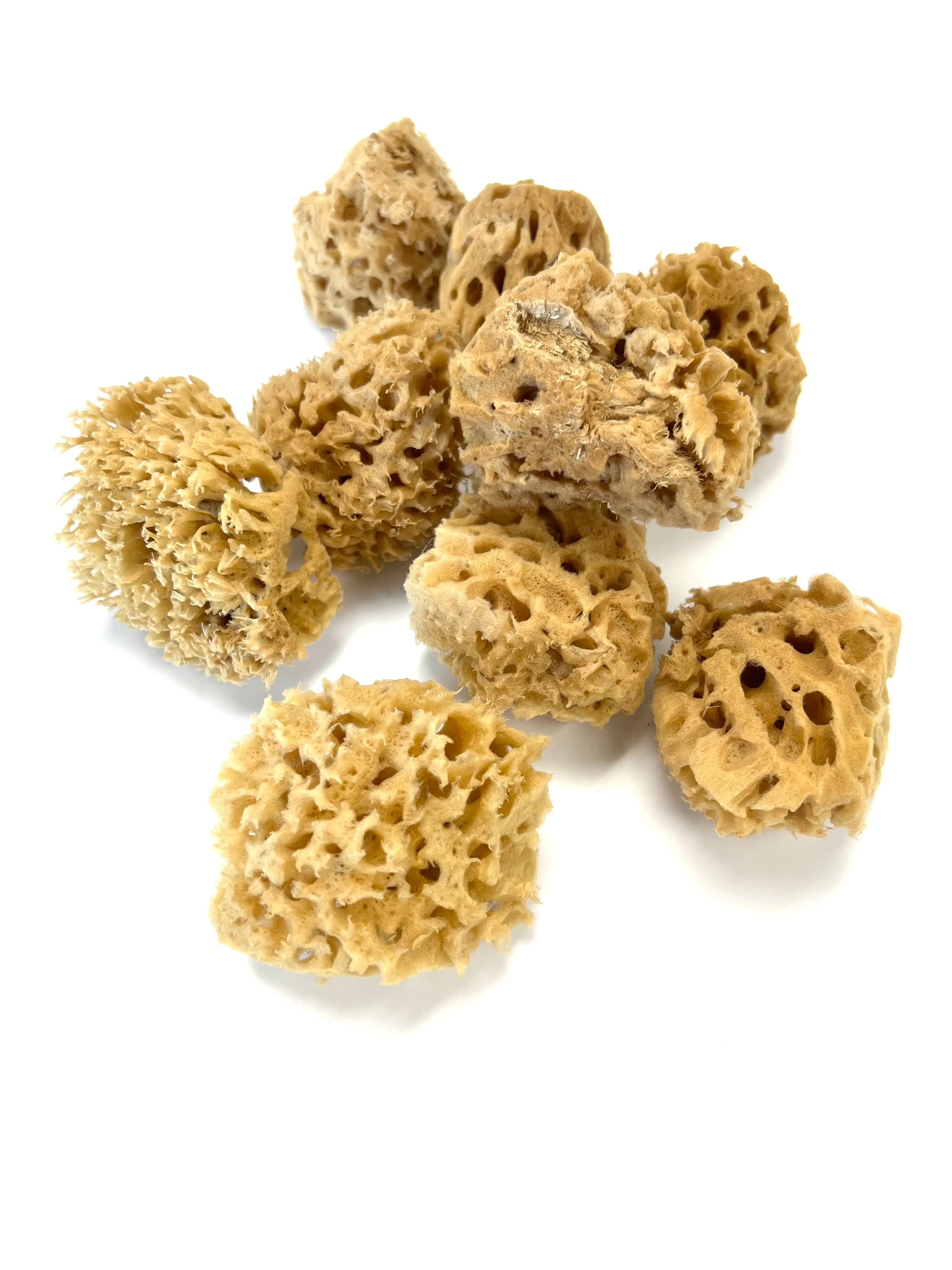 Kemper Wool Sea Sponge, 3"