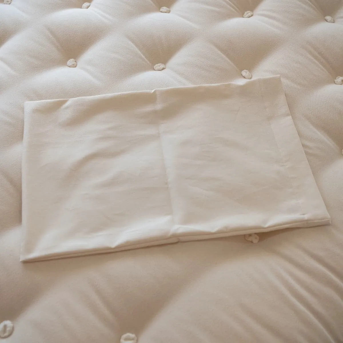 Rejuvenation and Shambho Pillow Cover