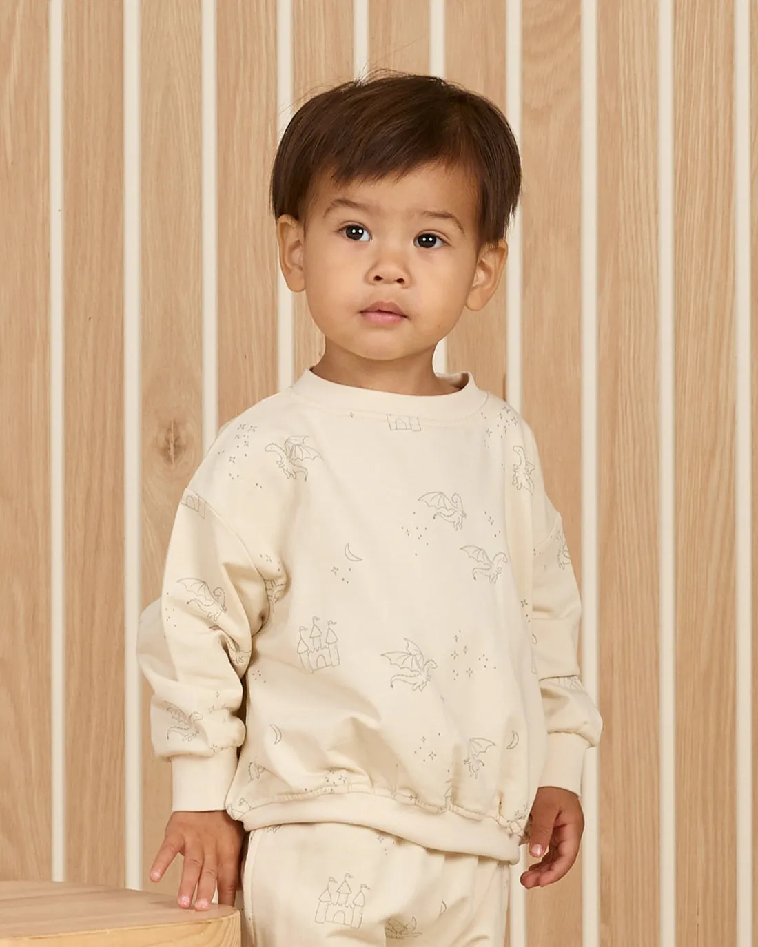 Relaxed Sweatshirt   Sweatpant Set| Dragons