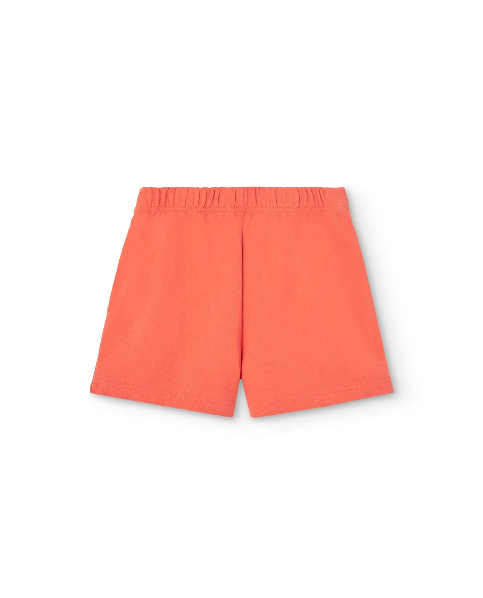 Salmon Lion Hedgehog Sweatpants