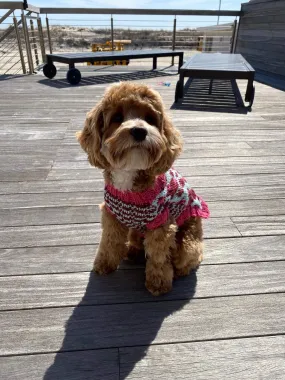 Vibrant Leopard Dog Sweater (Knit)
